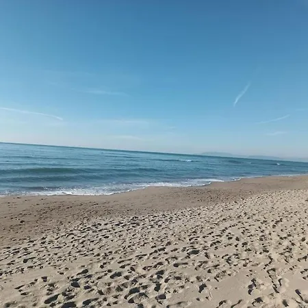 Casa Scrigno Di Mare-pineta Vicinissimi