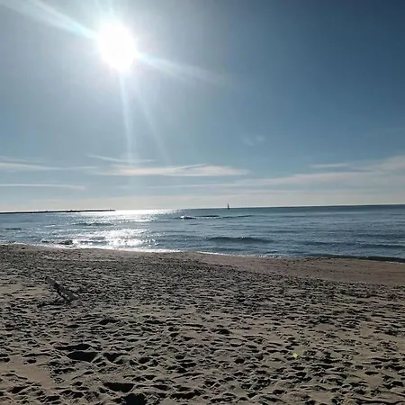 Casa Scrigno Di Mare-pineta Vicinissimi Appartamento